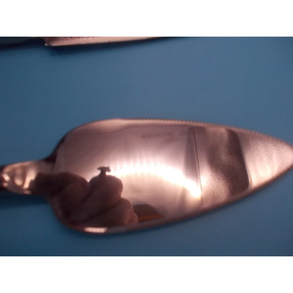 International Stainless Steel 2 Piece Cheese Knife and Spreader Server